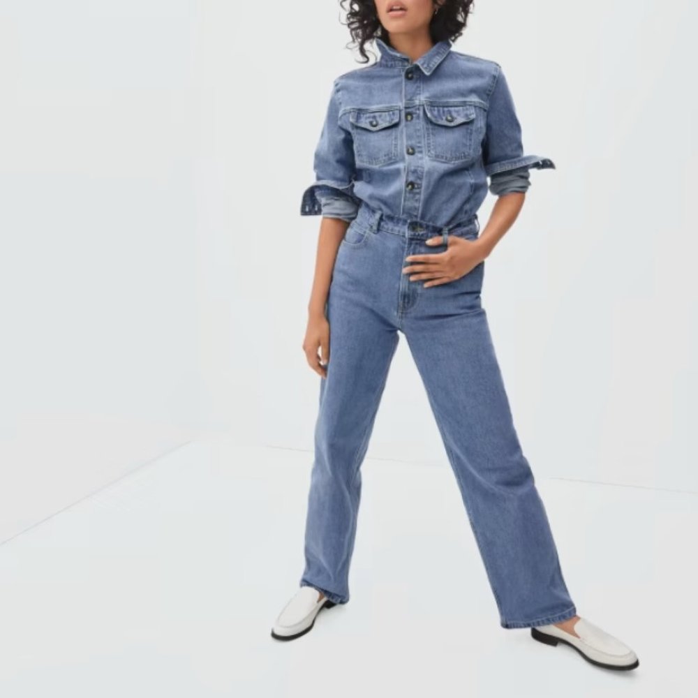Everlane The Way-High Baggy Jean in Stone (Size 23)
